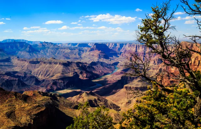 Arizona
