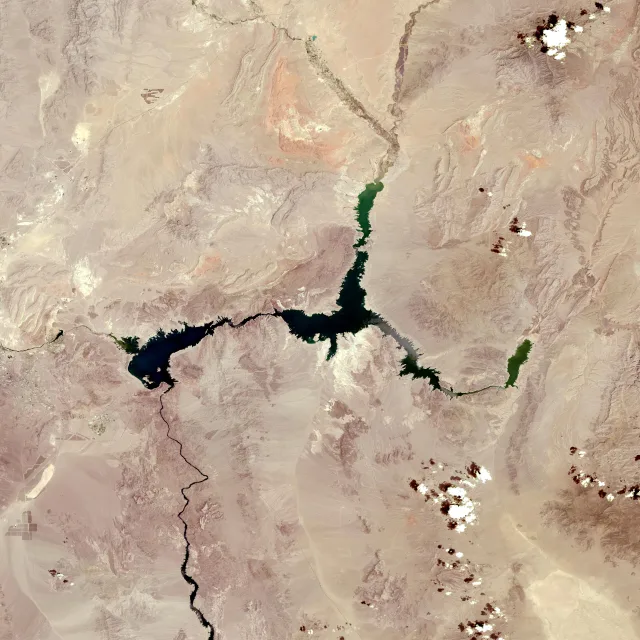 Nevada